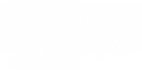 brooklyndelights