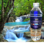 Brooklyn SPRING Water 16.9oz. -- . ONLY .25 cents per bottle